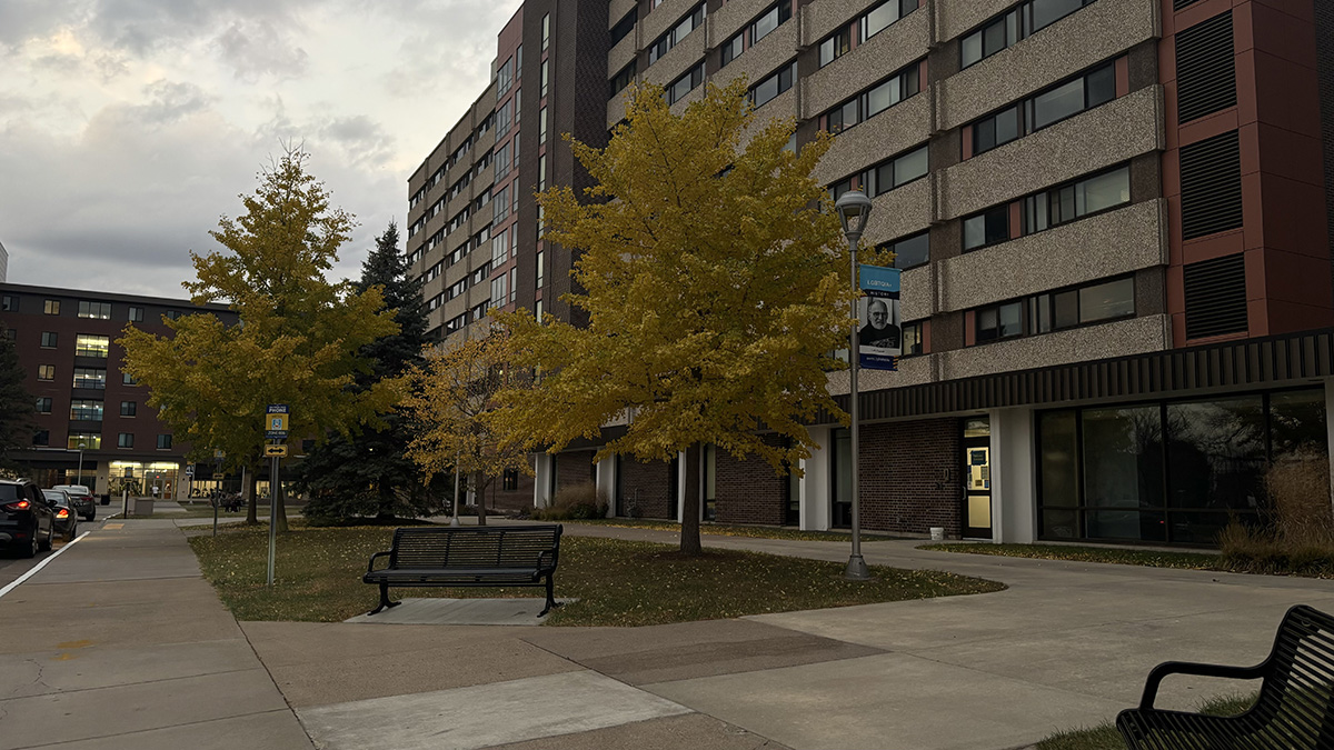 David Karlgaard Tower surrounded by yellow fall trees.