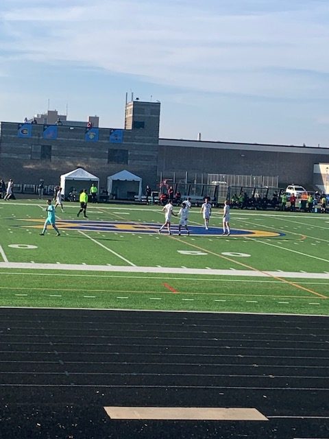 Blugold players celebrate a goal in Friday’s game against Lake Forest College.