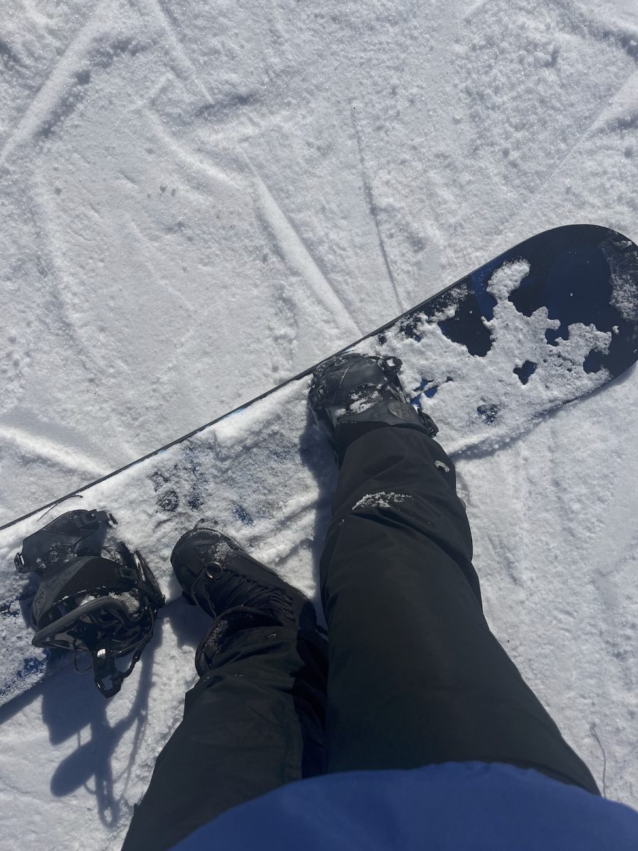 My dad lent me his snowboard to help me shred the kiddy hill.